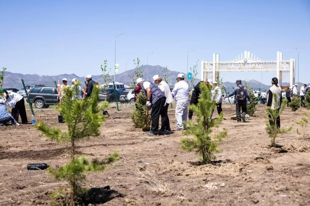 «Таза Қазақстан»: в Алматинской области высажено 5100 саженцев деревьев