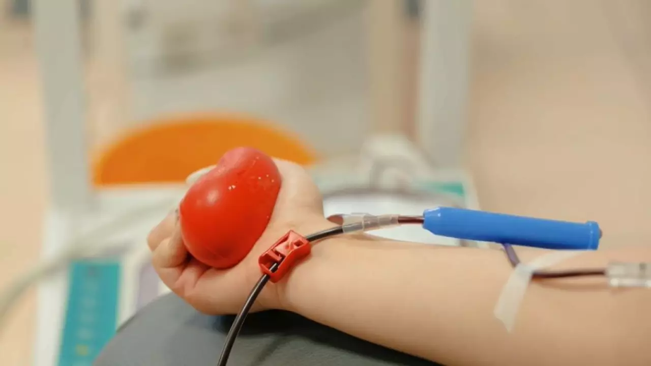 Больше миллиона миллилитров крови собрали волонтёры с начала года