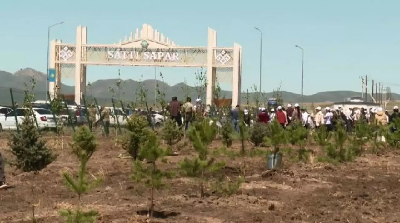 Кегенде 5100 түп ағаш көшеті егілді