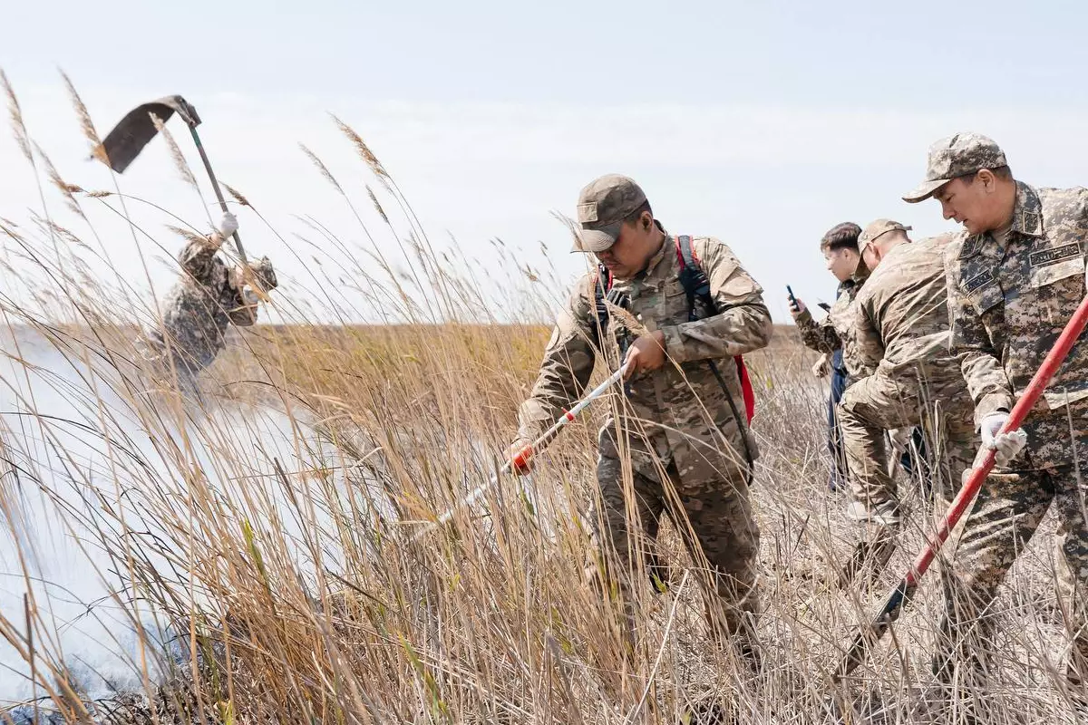 Пожар вспыхнул на территории резервата «Акжайык»