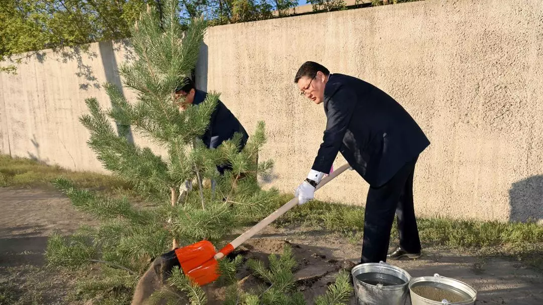 8 тысяч деревьев высадят в Семее в этом году