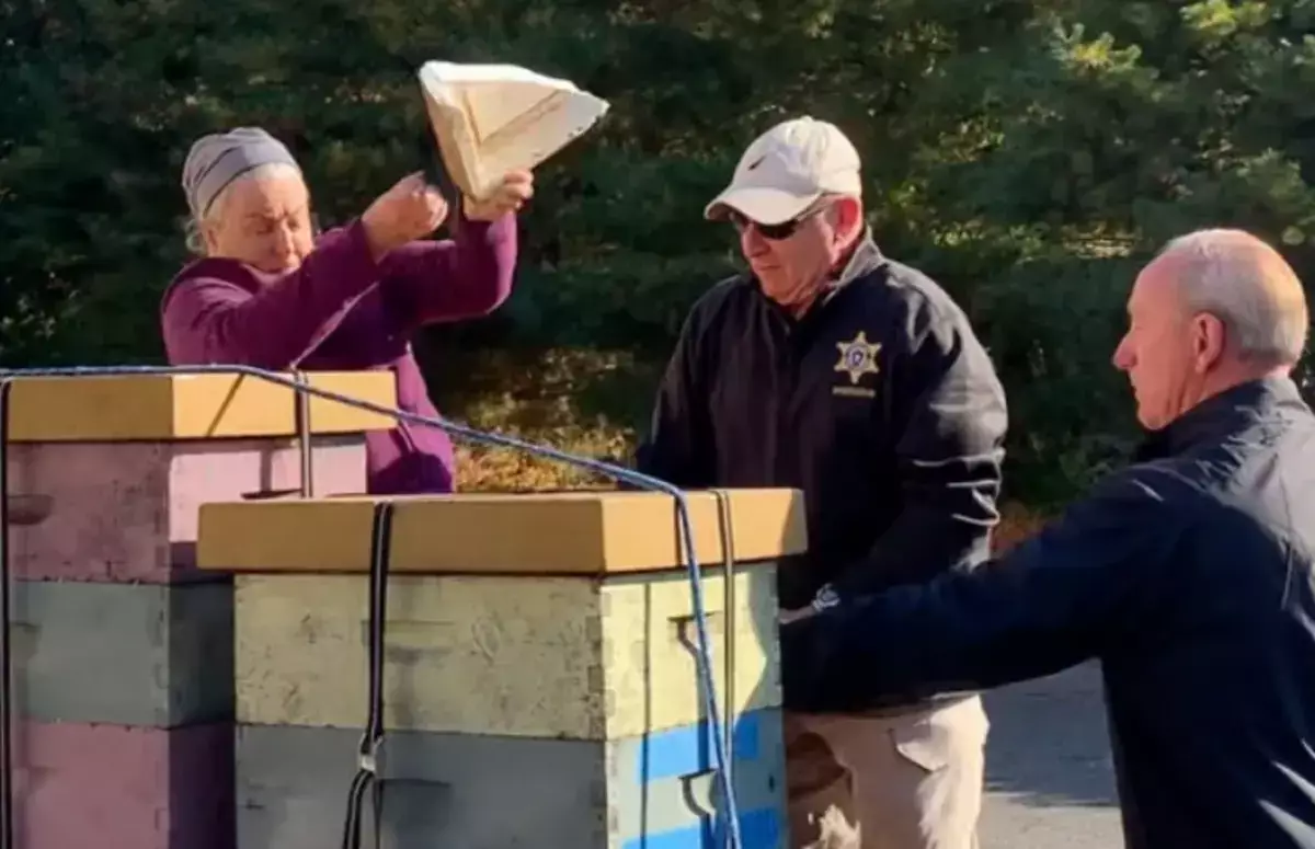 Женщина выпустила рой пчел на полицию, пытаясь спасти друга от выселения - новости на Lada.kz 30.04.2026