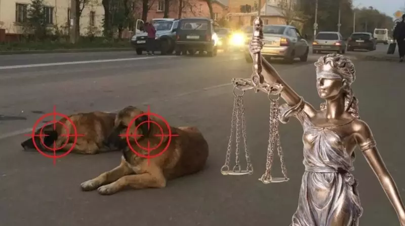 Назвали вещи своими именами: за что собаки скажут «спасибо» сенаторам?