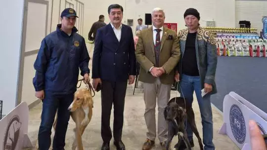 В Астане прошла монопородная выставка казахской порды собак тазы