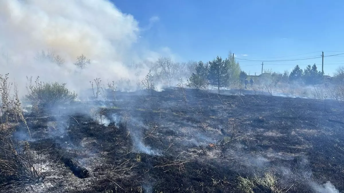 Более 1 гектара сухой травы сгорело в Акмолинской области