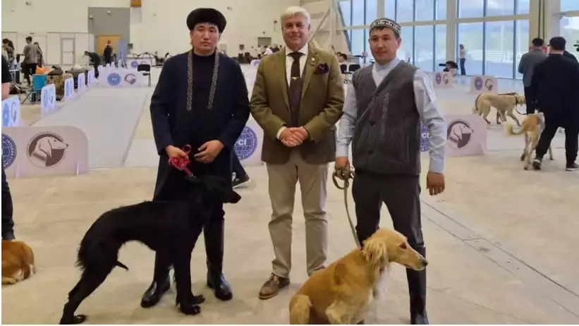 Астанада "Қазақы тазы" тұқымының көрмесі өтті