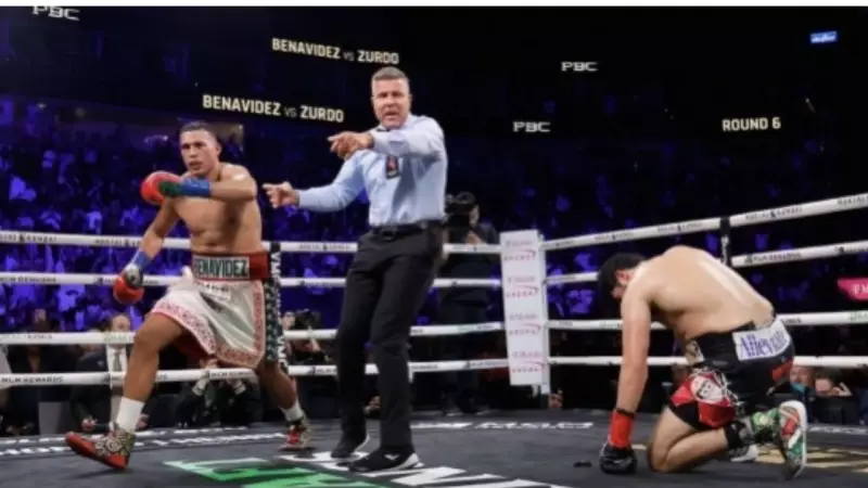 Бенавидес WBA және WBO титулдарының иегері атанды