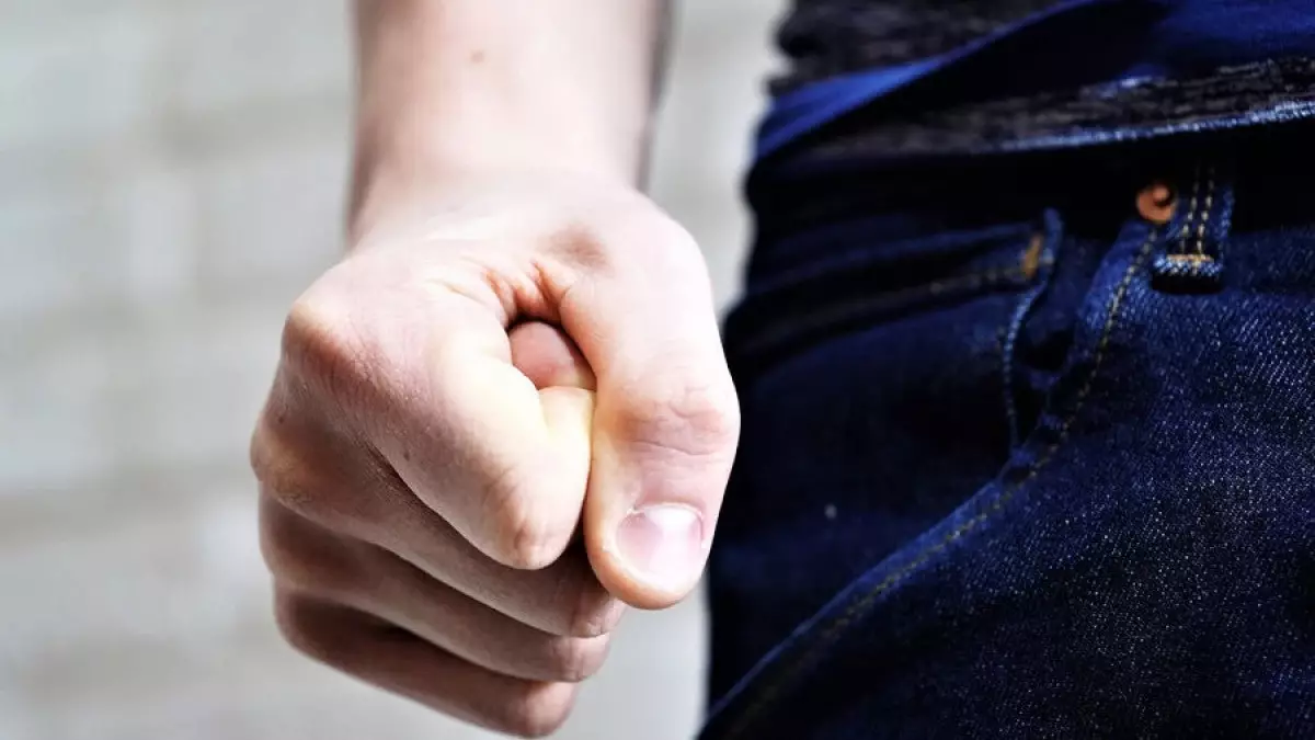Алматы облысында жаппай төбелес болды: Полиция кінәлілерді іздеп жатыр