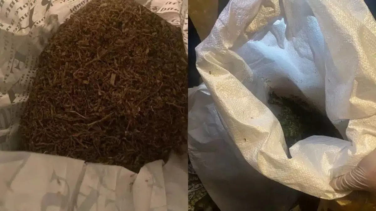 Көкшетауда мотоцикл жүргізушісінен 5 келіден астам марихуана табылды