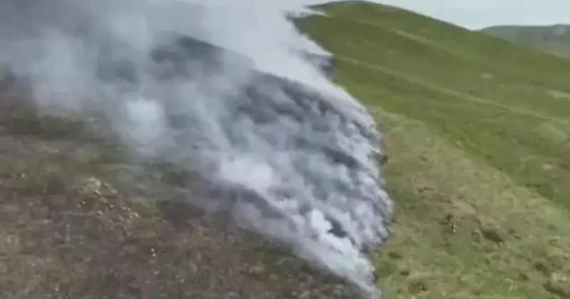 В ВКО вспыхнул лесной пожар