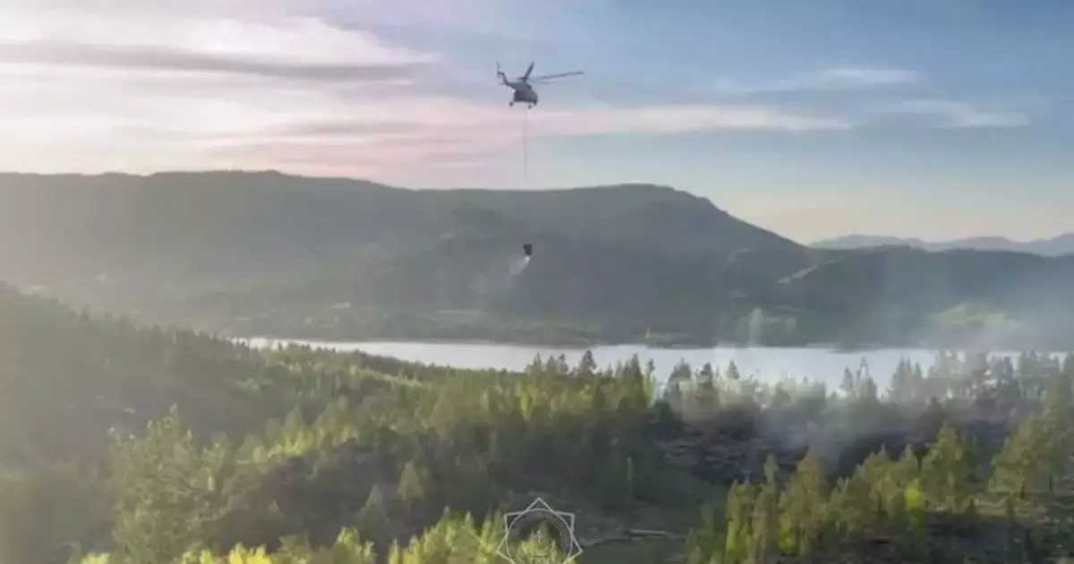  ШҚО орманында өрт шықты: өртті сөндіруге авиация жұмылдырылды 