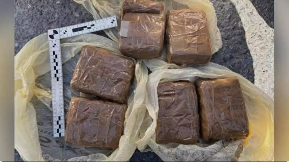  Жамбыл облысында полицейлер заңсыз айналымнан 3 келіге жуық гашиш тәркіледі 