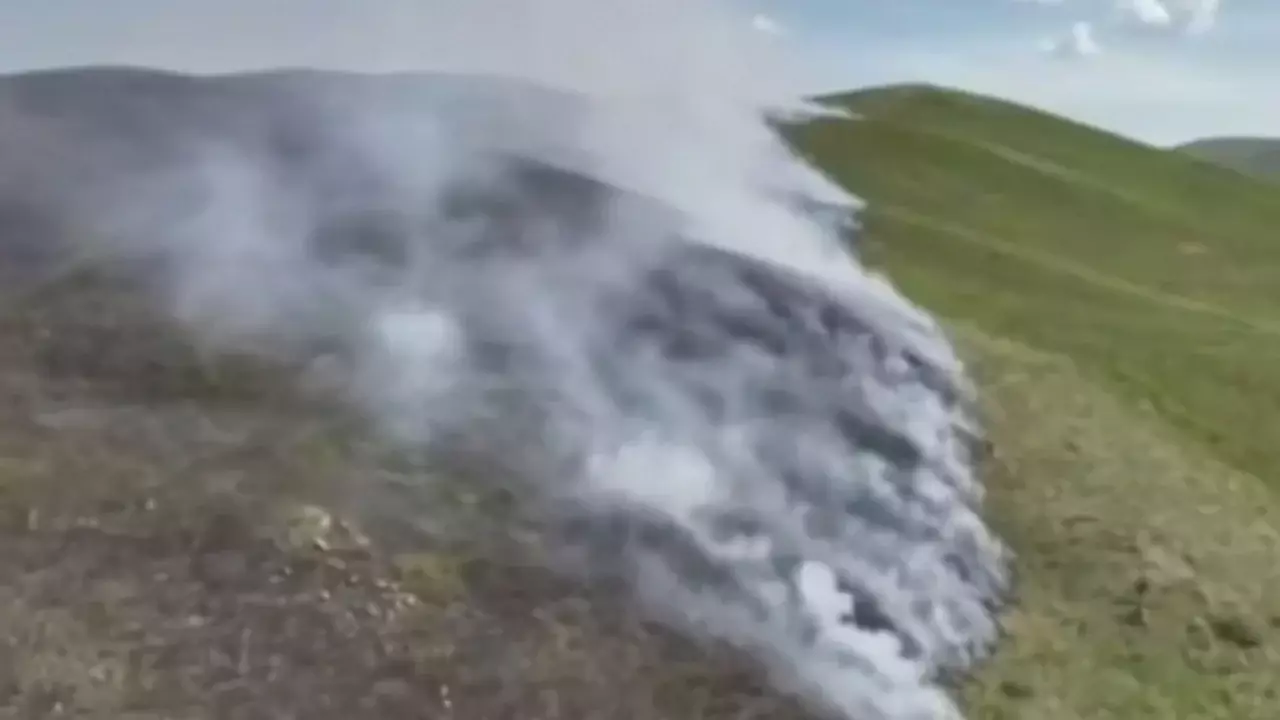 В Казахстане вспыхнул лесной пожар, сообщает Zamin.uz.