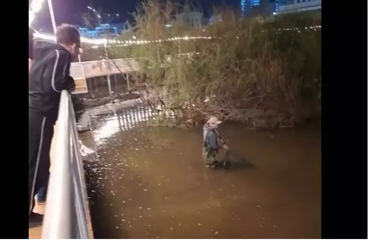 «Концерт аяқталды»: Астанадағы Samal Park саябағындағы бақаларды көшіріп жатыр