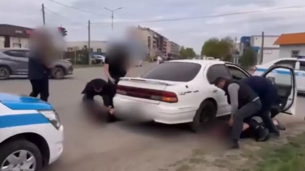 Группу скотокрадов задержали на севере Казахстана - владельцы даже не заметили пропажу животных