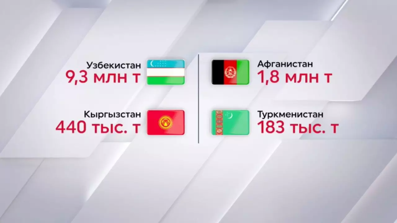 Казахстан увеличил экспорт зерна и муки