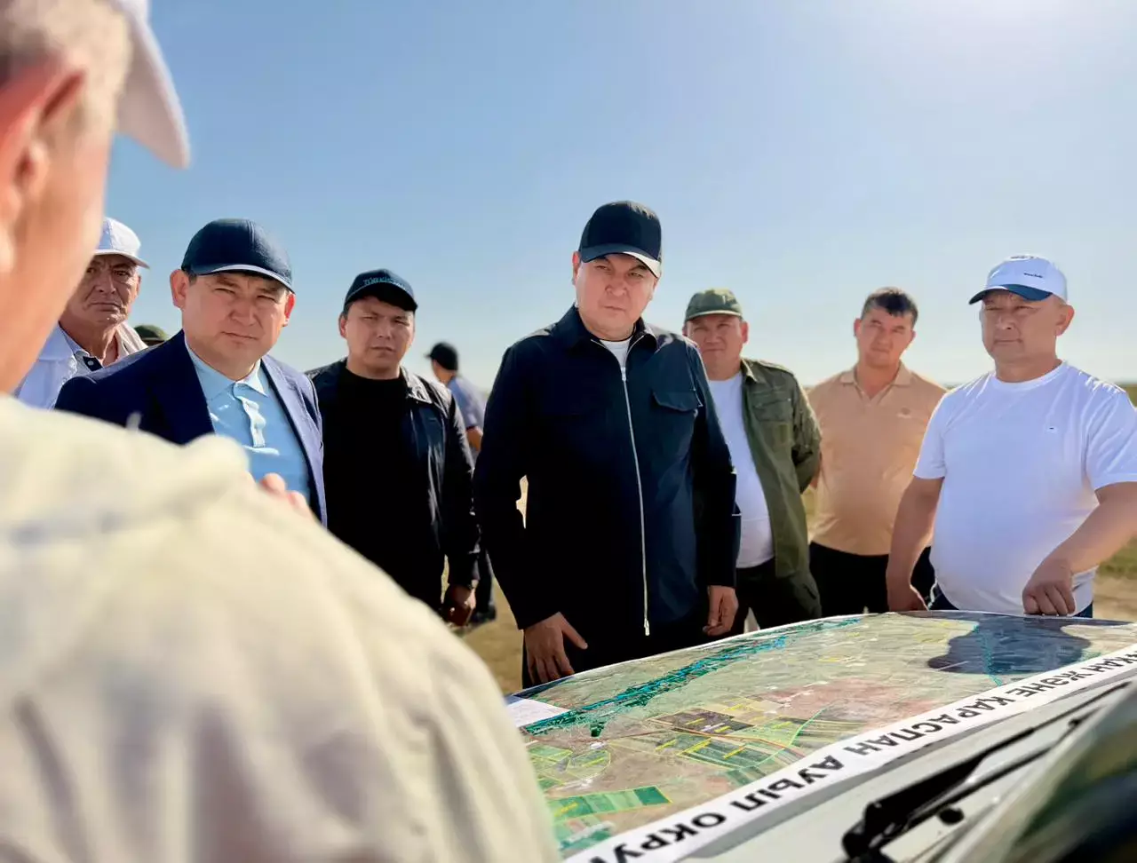 Алқаптағы аласапыран: Түркістан облысында шегірткеге қарсы 275 мың гектар жер өңделді
