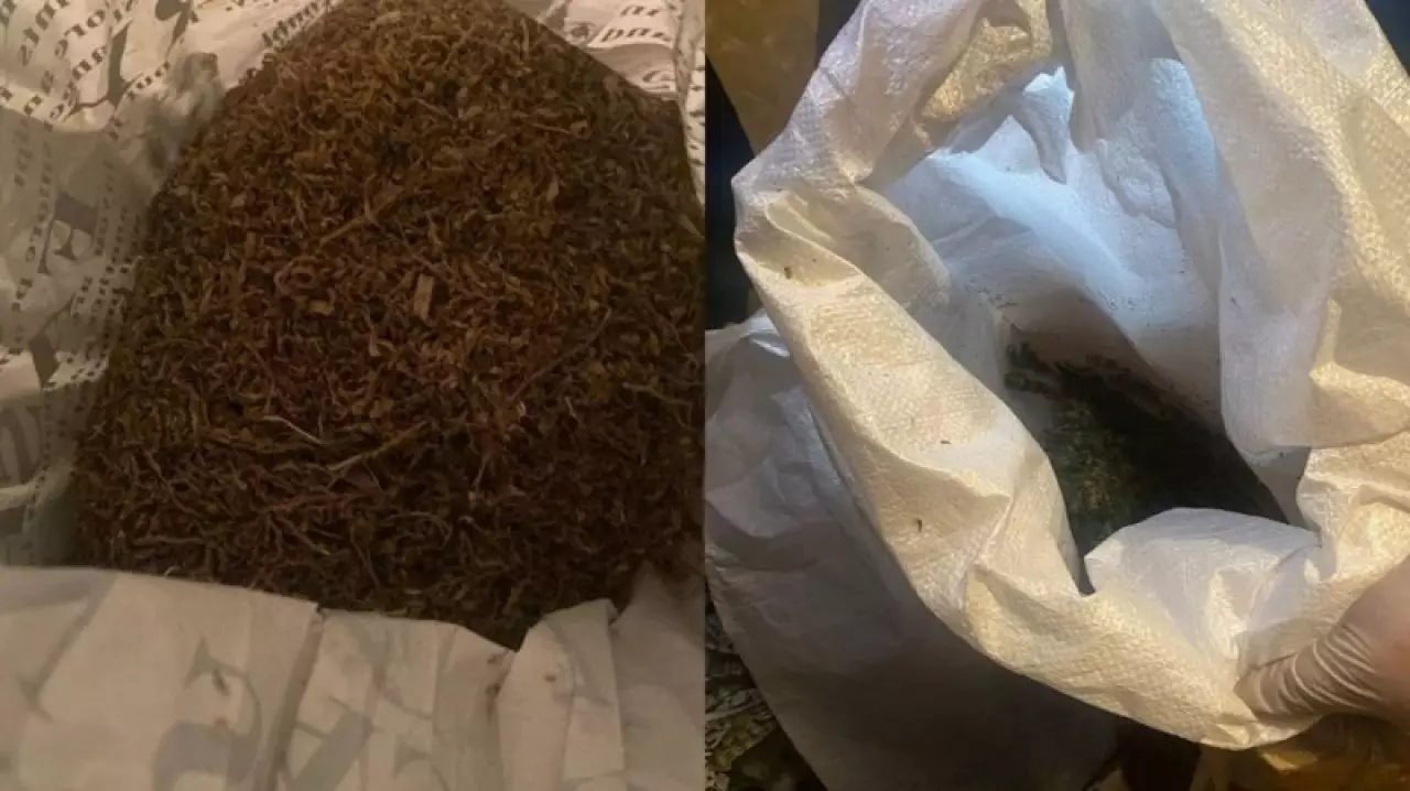 Семейлік азаматтың үйінен 154 кг марихуана табылды