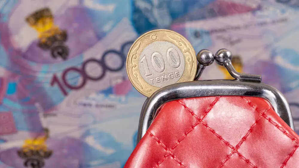 Қазақстанда еңбекақы төлеу қорынан бірыңғай төлем енгізілуі мүмкін: мерзімі аталды