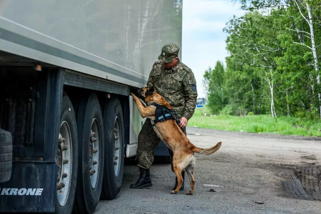 Тонны семян из Казахстана не пустили в Челябинскую область.