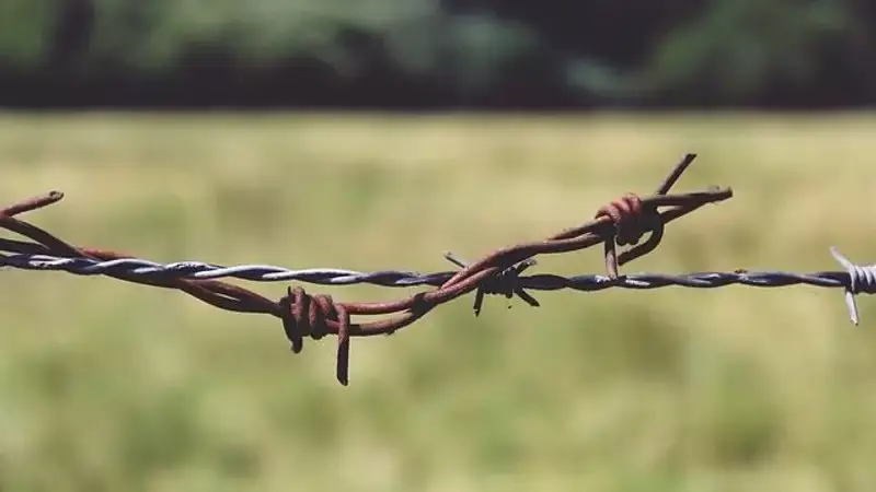 Өзбекстанмен шекарада жүйедегі ақауға байланысты кептеліс пайда болды