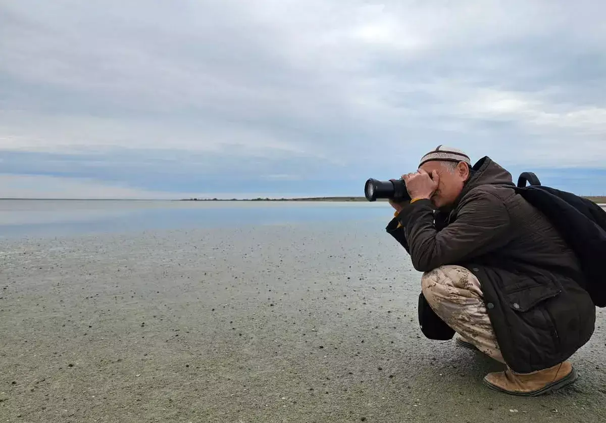 Экотурнир по фотоохоте за птицами на озере Караколь прошёл в Актау - новости на Lada.kz 10.05.2026