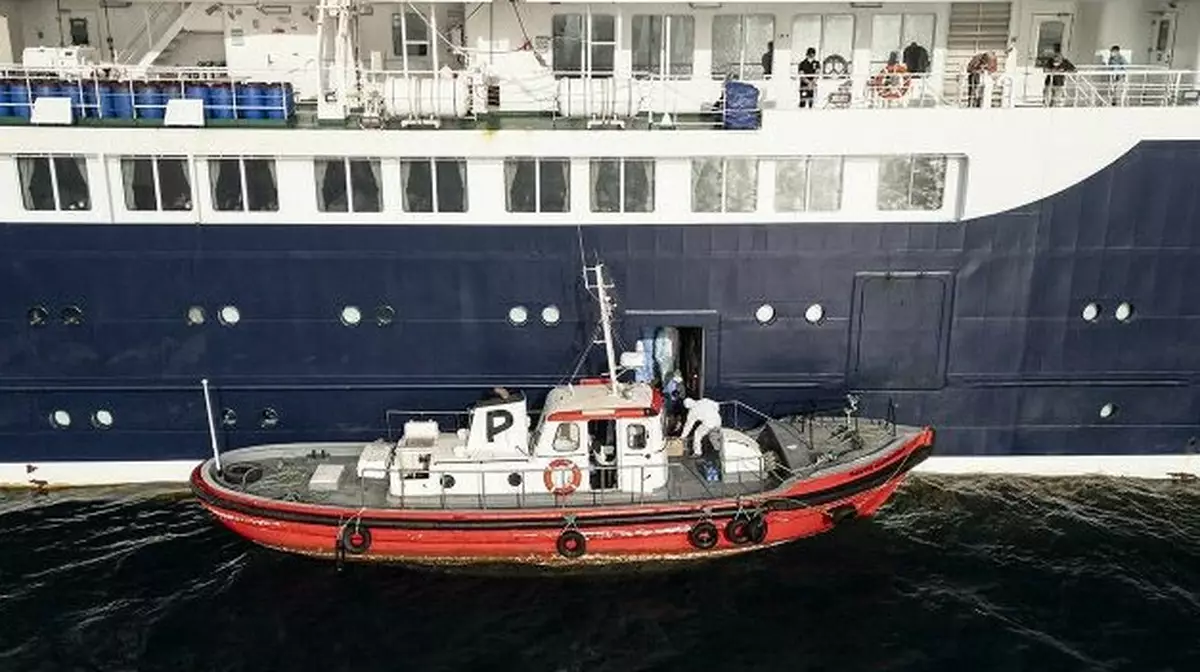 ВОЗ: на лайнере MV Hondius выявили 9 случаев хантавируса "Андес"