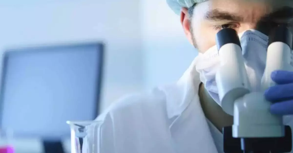  Хантавирусқа байланысты қателік: Нидерландыда 12 дәрігер карантинге жабылды 