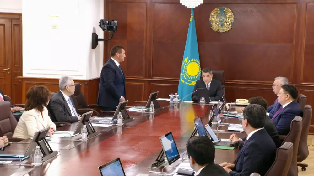 Нурлыбека Налибаева представили правительству