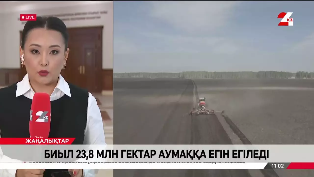 Биыл 23,8 млн гектар аумаққа егін егіледі. LIVE