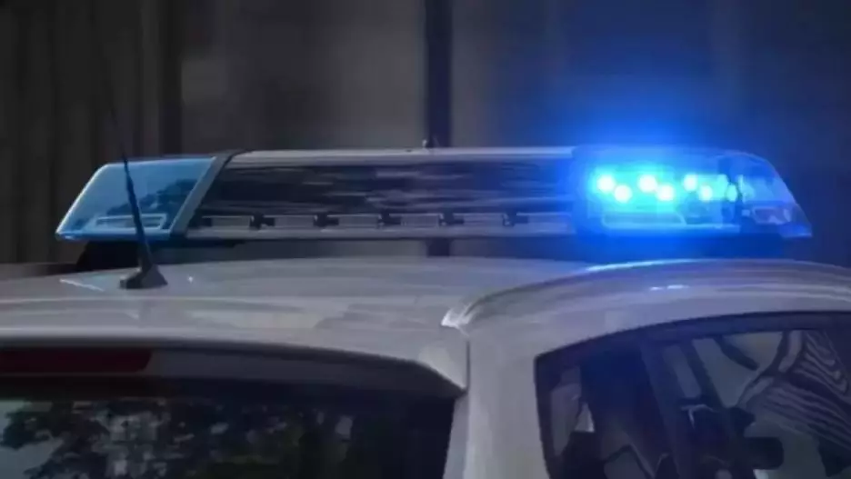 Казахстанцу вынесли приговор в Жетысу за "шапалаки" полицейскому