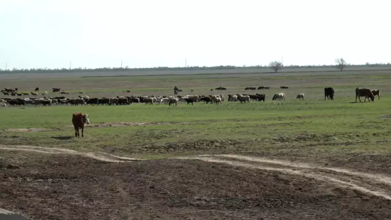 778 мың гектар жер мемлекетке қайтарылды