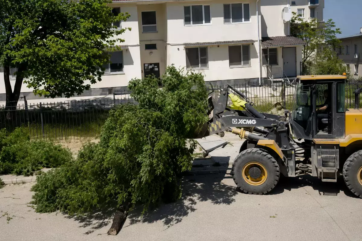 В Актау из двора вывезли огромное дерево: что произошло на самом деле - новости на Lada.kz 13.05.2026