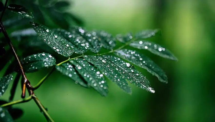 Еліміздің кей өңірлеріне ауа райына байланысты ескерту жасалды