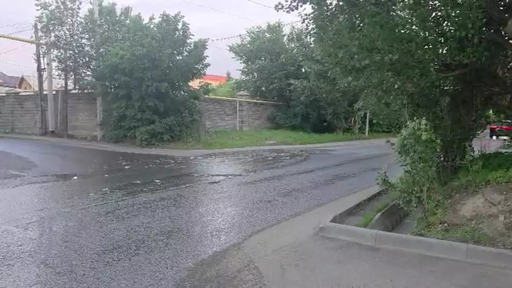 Алматылықтар көшені басқан сасық суға шағымданды