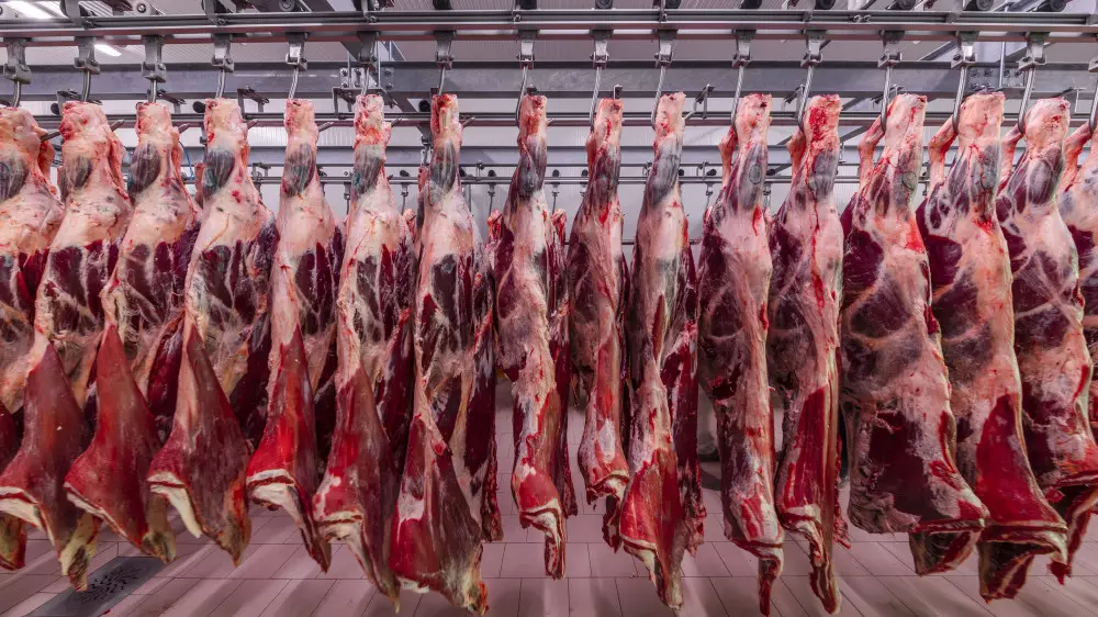 Казахстан готов экспортировать в Турцию халяльное мясо