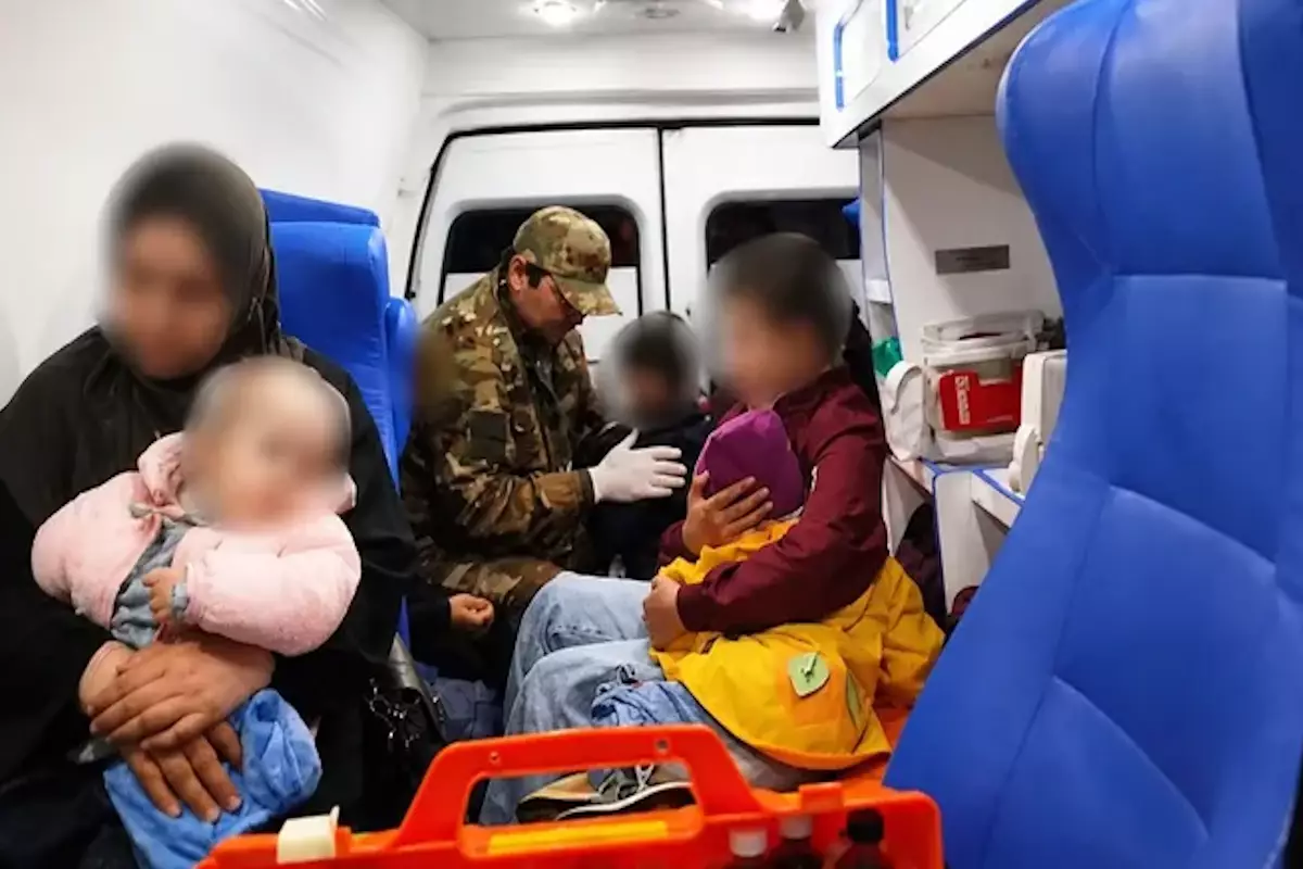 Пятеро детей пострадали в ДТП с лошадью в Павлодарской области
