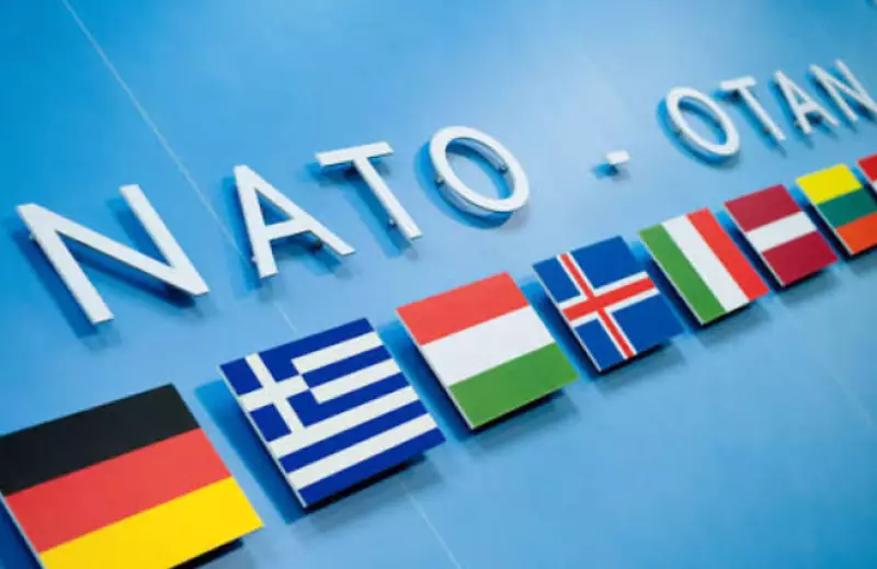 В Германии назвали возможную дату атаки РФ на НАТО