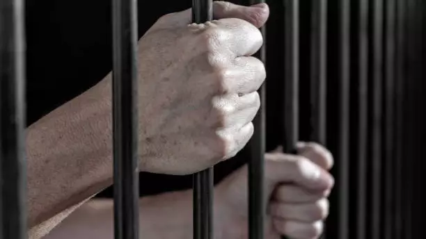 В Европе расследуют возможную кибератаку на пассажирские паромы