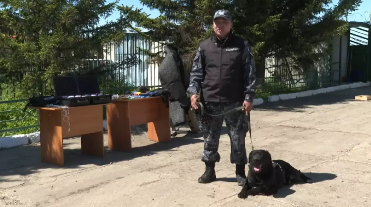 Собаки помогли раскрыть 150 преступлений в Акмолинской области