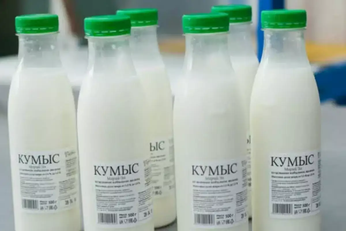 Водителей в Казахстане предупредили о риске лишиться прав на 7 лет из-за магазинного кумыса - новости на Lada.kz 18.05.2026