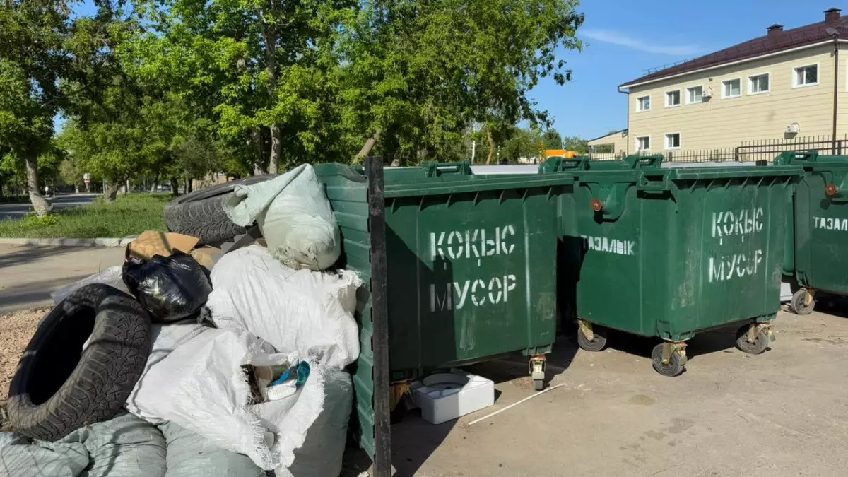 Более 700 млн тенге задолжала жителям Костаная мусоровывозящая компания из-за завышенного тарифа на отходы