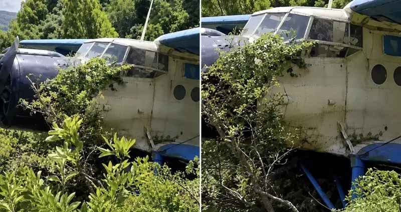 Самолет совершил аварийную посадку под Алматы