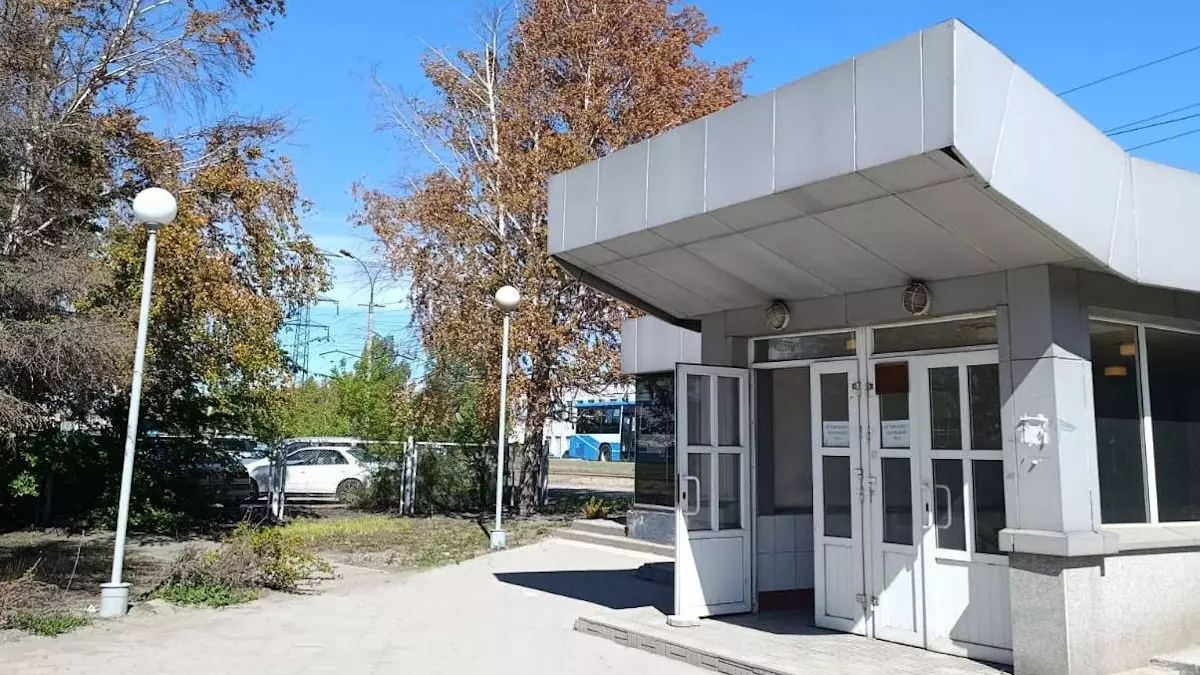 Экологи назвали возможную причину пожелтения деревьев в Усть-Каменогорске