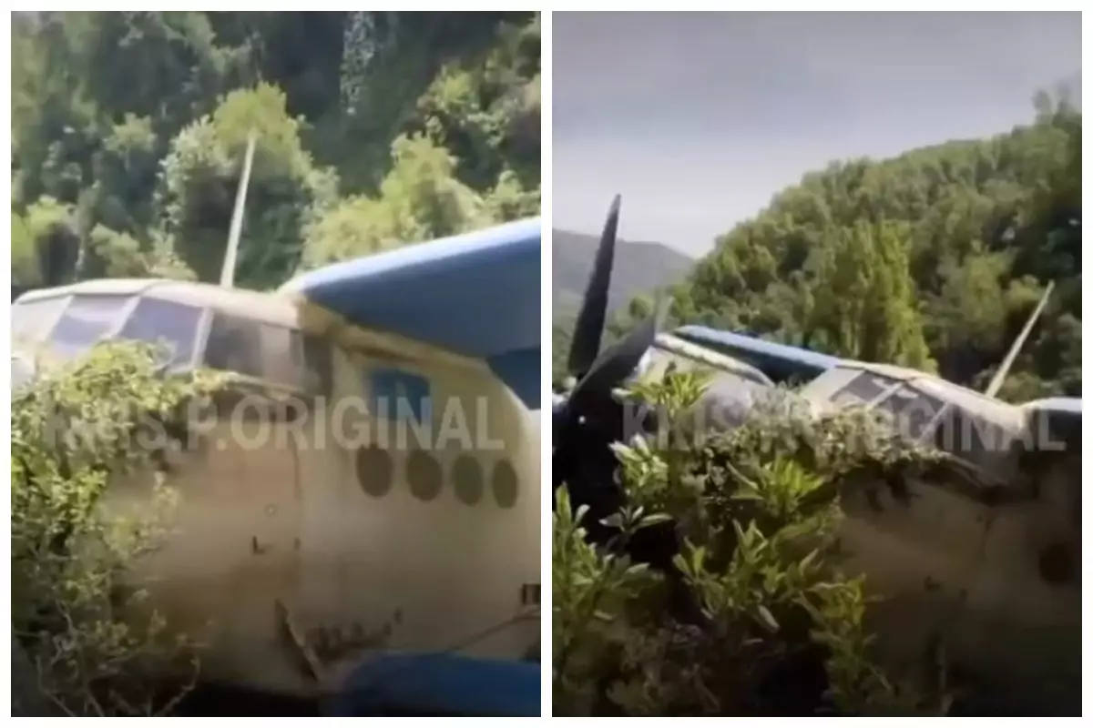 Ан-2 ұшағы Қазақстанның оңтүстігінде тауға қонған соң зақымданды (видео)