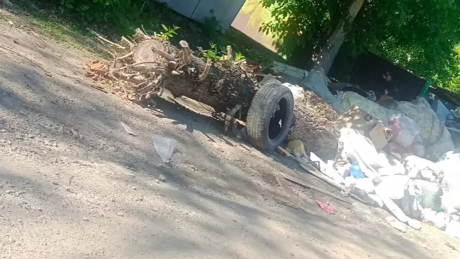 Ақмола облысында заңсыз қоқыс төгудің 28 мыңға жуық фактісі анықталды