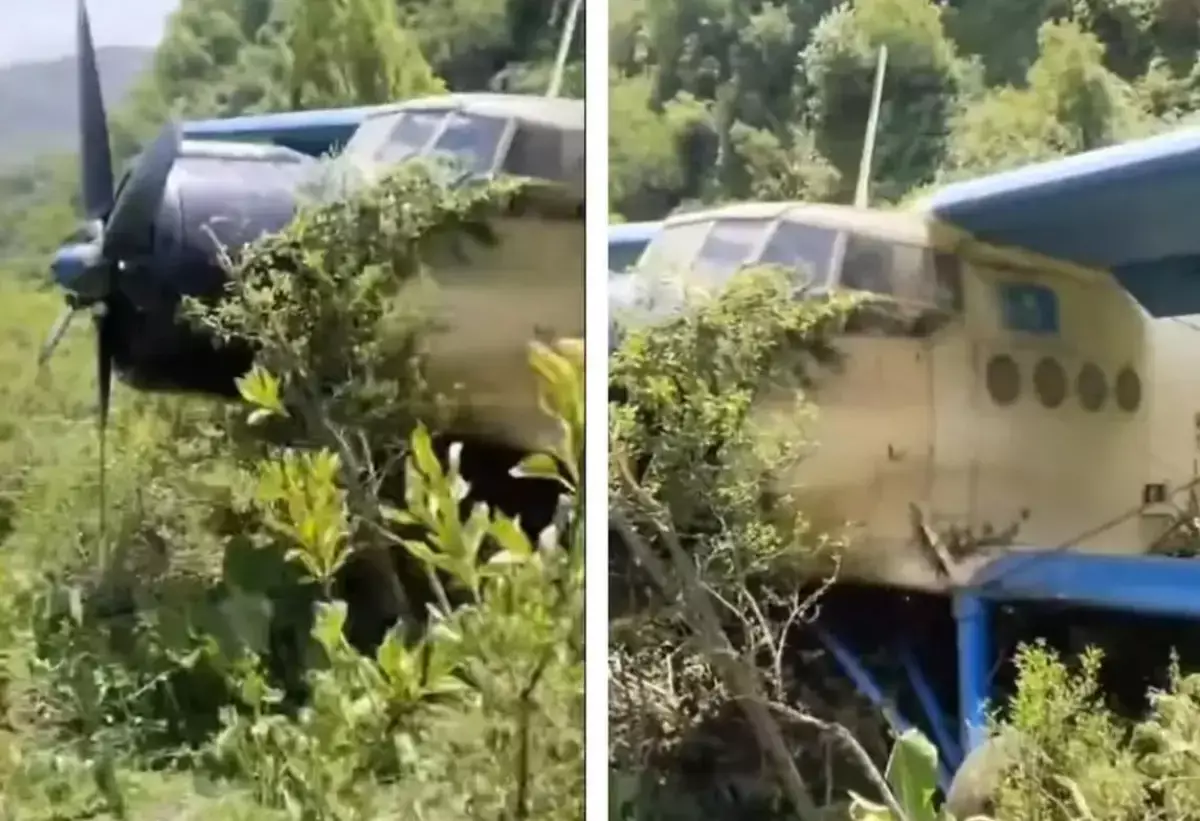 Ағашқа соғылған: Алматы облысында Ан-2 ұшағы тауда апатқа ұшырай жаздады