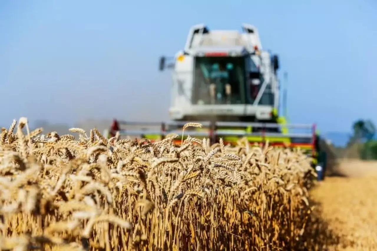 Казахстан наращивает экспорт сельхозпродукции в Испанию