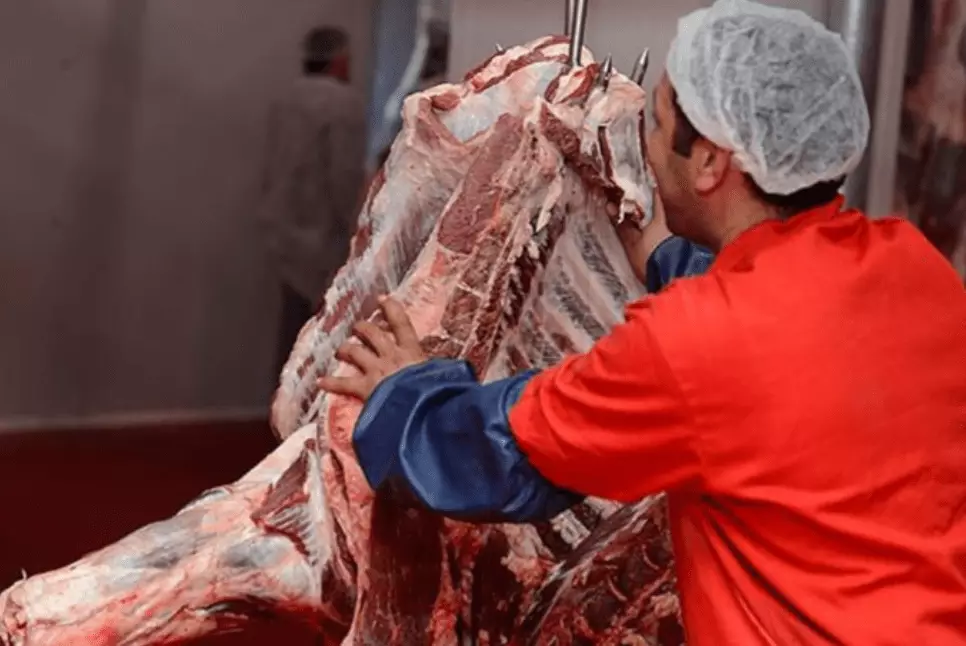 Казахстан разрешил транзит животноводческой продукции из «благополучных регионов» России
