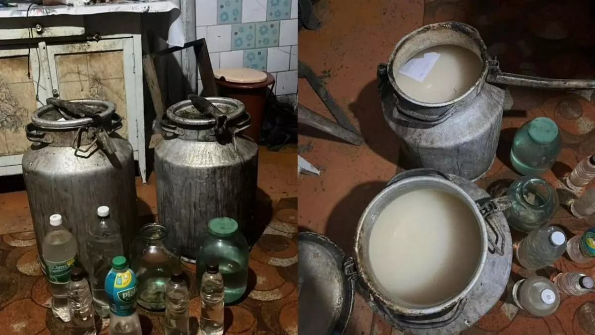 85 литров из подпольного алкомагазина вытащили полицейские в СКО